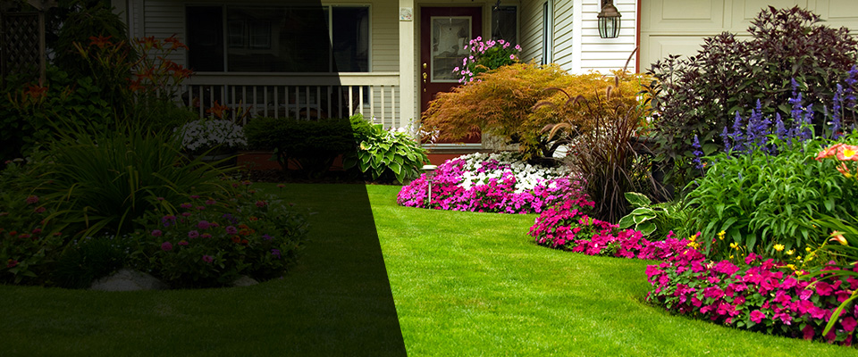 Clayton Landscapers
